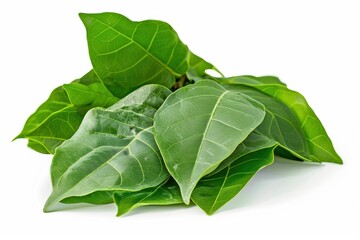 Obraz premium Bilva leaf stock photo on white backdrop