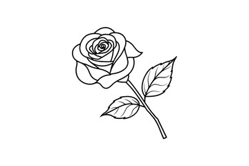 Rose flower for design element and coloring book pages for kids