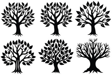 Six Black Silhouette Tree Illustrations with Different Leaf Patterns