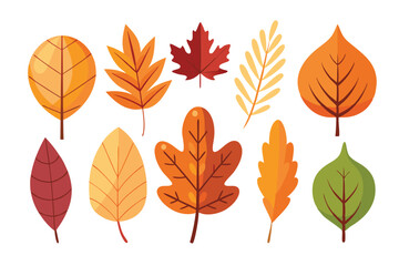 Fototapeta premium A Collection of Ten Colorful Autumn Leaves