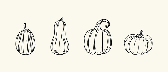 Thanksgiving Day pumpkins icon set.  Halloween silhouette black hand drawn line pumpkins sketch. Vector illustration, traditional Halloween decorative element.