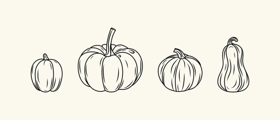 Thanksgiving Day pumpkins icon set.  Halloween silhouette black hand drawn line pumpkins sketch. Vector illustration, traditional Halloween decorative element.