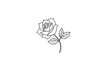 Fototapeta premium Rose flower for design element and coloring book pages for kids