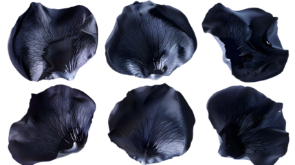 Black rose petals isolated on transparent background PNG