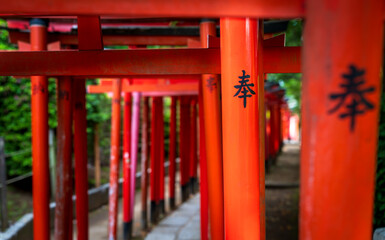 A row of red torii gates with Japanese writing at a temple
