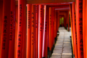 Obraz premium There is a row of striking red poles adorned with Japanese writing on them