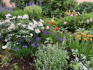cottage flower garden