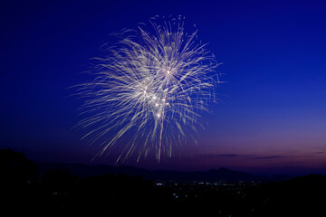 夜空に咲く大輪花火　おんぱら祭奉納花火
