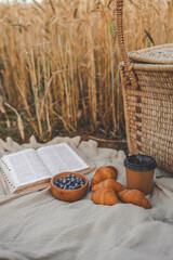 Girl reading the Bible, wheat field and summer mood