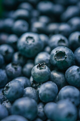 Macro shot of fresh blueberries. The close-up highlights the texture and details of the berries, showcasing their deep blue color and natural imperfections