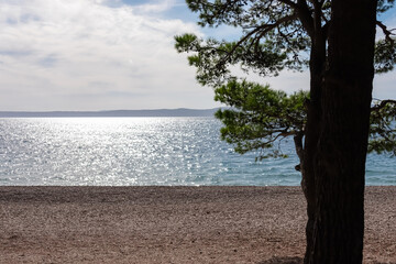 Lush green pine branches frame foreground with scenic view of pristine pebble beach in Tucepi, Makarska Riviera, Dalmatia, Croatia, Europe. Shimmering water surface of Adriatic Sea, Mediterranean