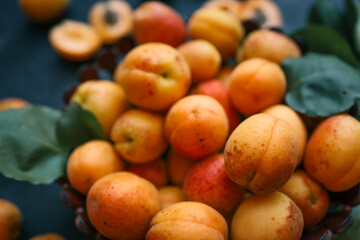 Fresh apricots in a wooden bowl and scattered on a dark surface. Some apricots are halved, revealing their pits, highlighting the vibrant colors and natural textures of the fruit