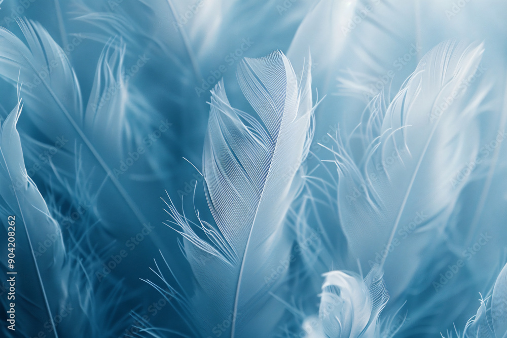 Aufkleber abstract background with white feathers, monochrome blue and grey colors. close-up of soft, fluffy f