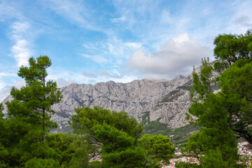 Panoramic view of majestic Biokovo mountain range seen from Makarska, Dalmatia, Croatia, Europe. Lush green Aleppo pine tree forest surrounding barren rocky rugged cliffs. Hiking in Dinaric Alps.