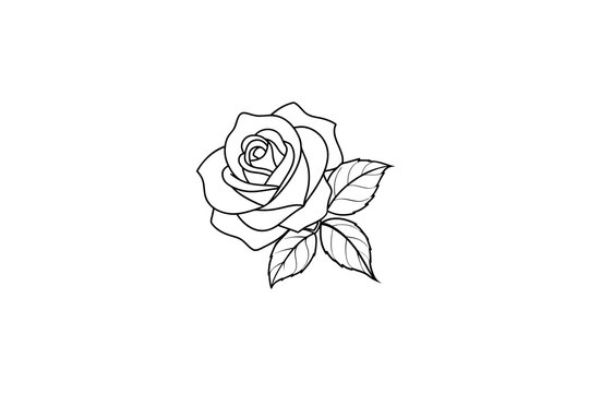 Rose flower for design element and coloring book pages for kids
