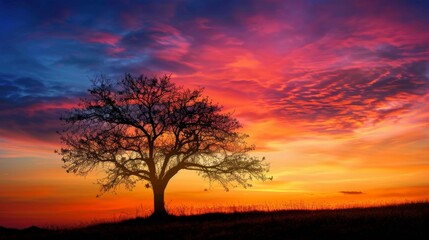 Naklejka premium Silhouette of a tree against a vibrant sunset sky