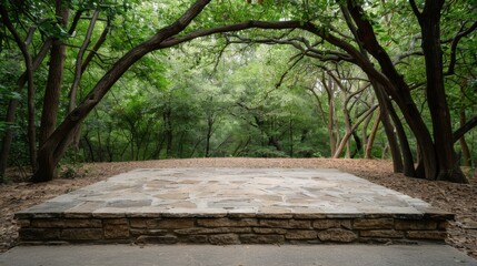 Tranquil Stone Platform in Enchanted Forest Clearing with Natural Arch of Branches