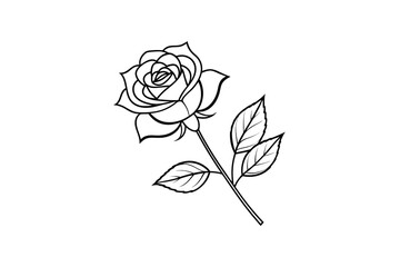 Rose flower for design element and coloring book pages for kids