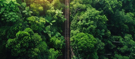 A lush green forest backdrop showcases a bird s eye view of the funicular track providing copy space in the image High quality photograph available