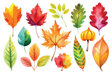 Obraz premium Watercolor Painting of Autumn Leaves and a Small Gourd