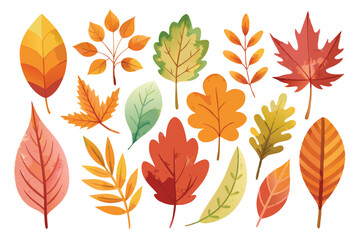 Obraz premium Collection of Autumn Leaves in Various Shapes and Colors