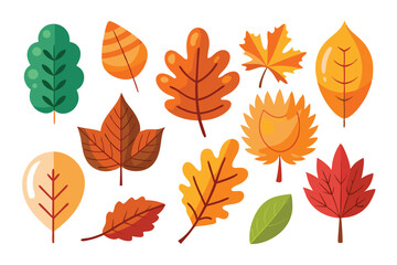 Obraz premium Collection of Colorful Autumn Leaves with White Background