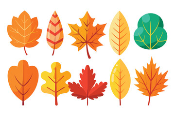 Fototapeta premium Colorful Autumn Leaves Illustration