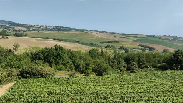 green hills and vineyards panorama of the Asti area barbera wine. High quality 4k footage