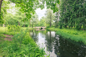 A bridge spans a river in a lush green forest
