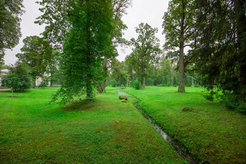 A serene environment features vibrant green grass, towering trees, and a gentle stream weaving its way through the landscape at dawn.