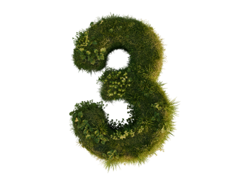 Flower number three on a transparent background. 3D rendering. 
