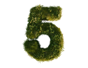 Flower number five on a transparent background. 3D rendering.