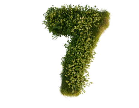 Flower number seven on a transparent background. 3D rendering.
- Powered by Adobe