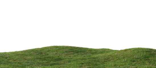 Hills with grass on a transparent background. 3D rendering.	
