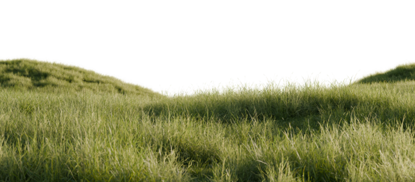 Hills with grass on a transparent background. 3D rendering.	
