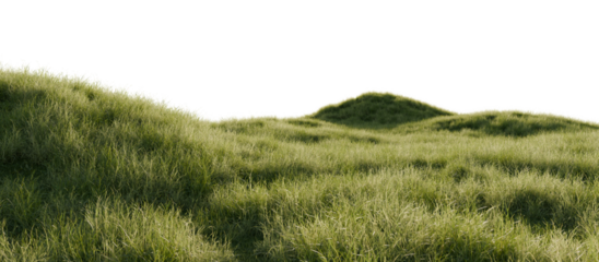 Hills with grass on a transparent background. 3D rendering.	
