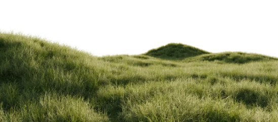 Hills with grass on a transparent background. 3D rendering.  
