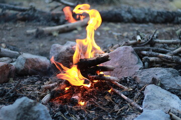 fire in the woods