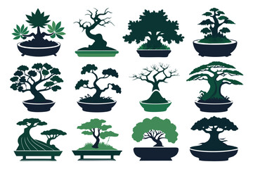 A Collection of Bonsai Trees in Various Styles and Stages of Growth