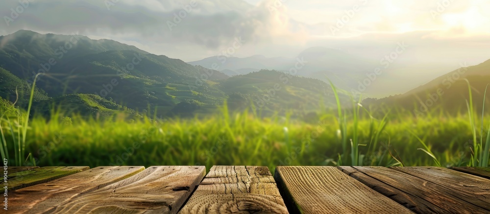 Poster blurry mountain and grassy field background enhance a refreshing and relaxing theme for displaying p