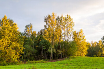 Obraz premium Summer landscape in countryside in Latvia.
