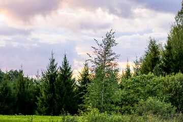 Summer landscape in countryside in Latvia.