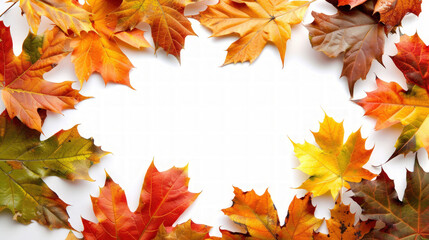 Autumn Maple Leaves on White Background with Copy Space