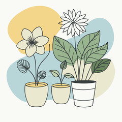 Decorative flowers and plants for the interior