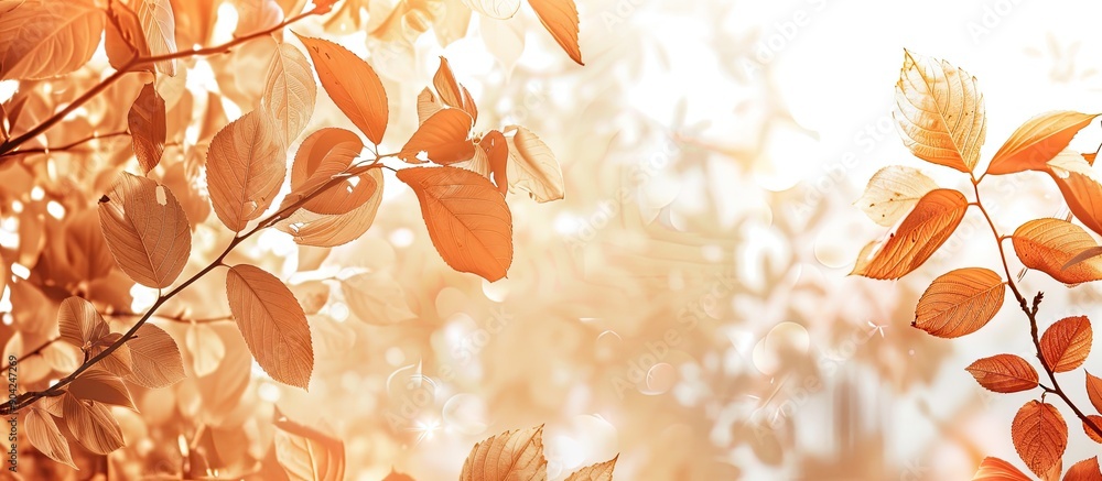 Poster golden autumn leaves on tree branches create a nature themed background with copy space image showca