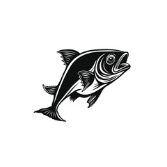fish on a white background