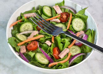 garden salad top with sliced spam, onions and tomatoes