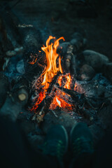 fire in the forest