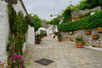 Obraz premium Little street decorated with plants in a summer day in Alberobello, Puglia, Italy