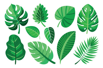 Obraz premium Collection of Green Tropical Leaves Isolated on White Background
